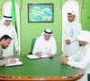 saudi-electricity